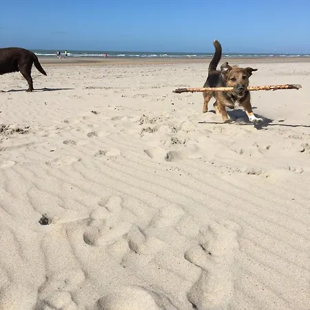 Hébergement de vacances Nordsee Glamping Mobilheimchaletstacaravan 2329